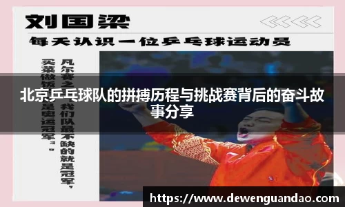 北京乒乓球队的拼搏历程与挑战赛背后的奋斗故事分享