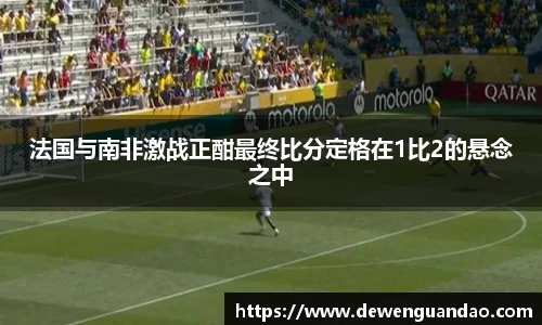 法国与南非激战正酣最终比分定格在1比2的悬念之中